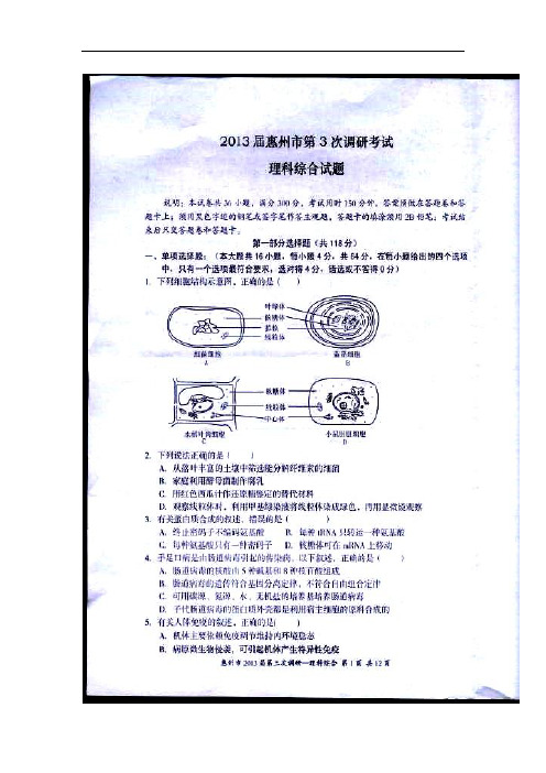 2018年广东省惠州市三模理科综合试题及答案 精品