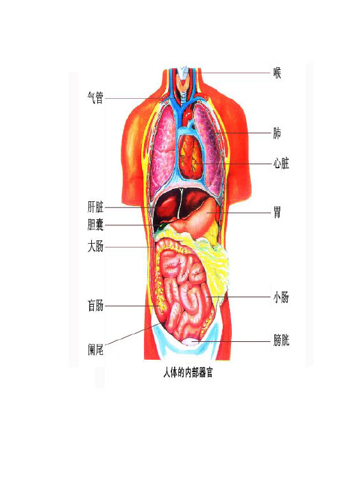 二年级心理健康教育资料