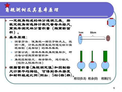 生态学野外实习