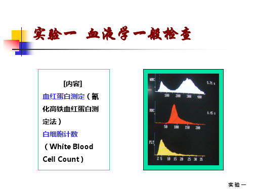 血液学一般检查