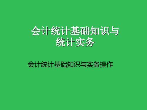 会计统计基础知识与实务操作