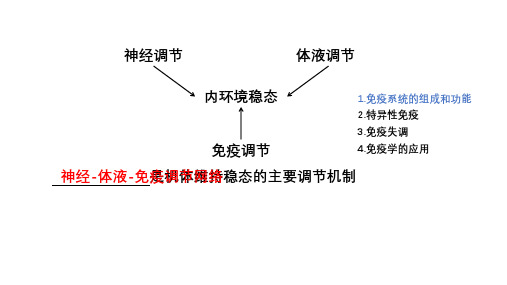 4.1免疫系统的组成和功能课件-高二上学期生物人教版选择性必修1(1)