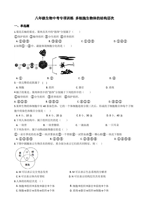 八年级生物中考专项训练 多细胞生物体的结构层次(解析版)