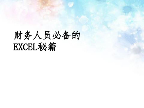 财务人员必备的excel操作(有图有解说)(必看ppt)