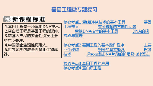 【高中生物】2023届高三生物二轮复习课件基因工程微专题