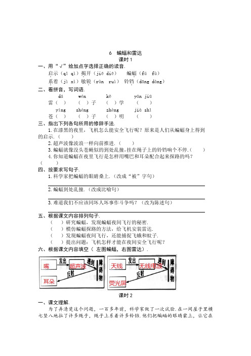 统编版语文四年级上册 6 蝙蝠和雷达 同步练习题(含答案)