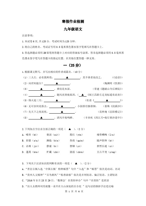 寒假作业检测 九年级语文