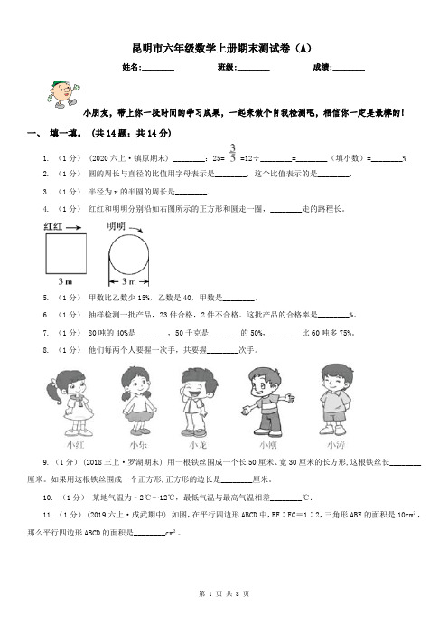 昆明市六年级数学上册期末测试卷(A)