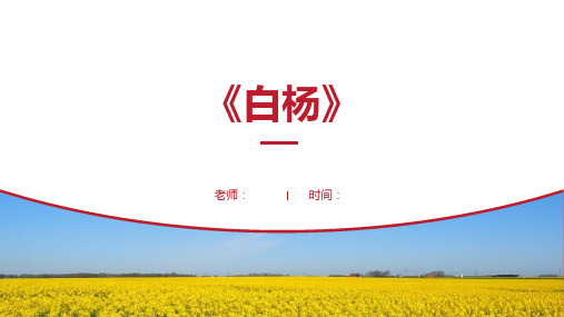 语文课文《白杨》PPT