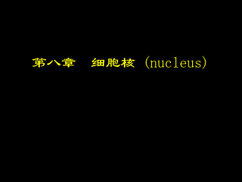 细胞生物学PPT