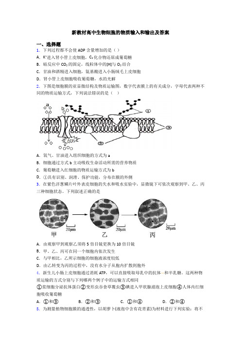 新教材高中生物细胞的物质输入和输出及答案