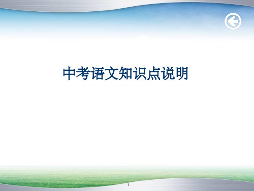 沪教版语文中考知识点整理