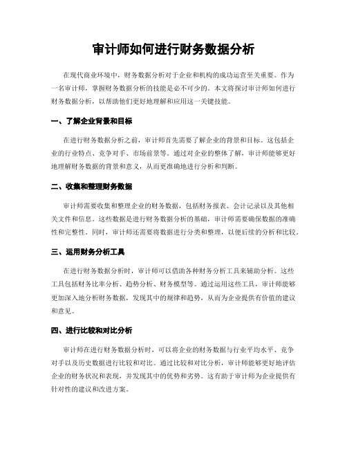 审计师如何进行财务数据分析