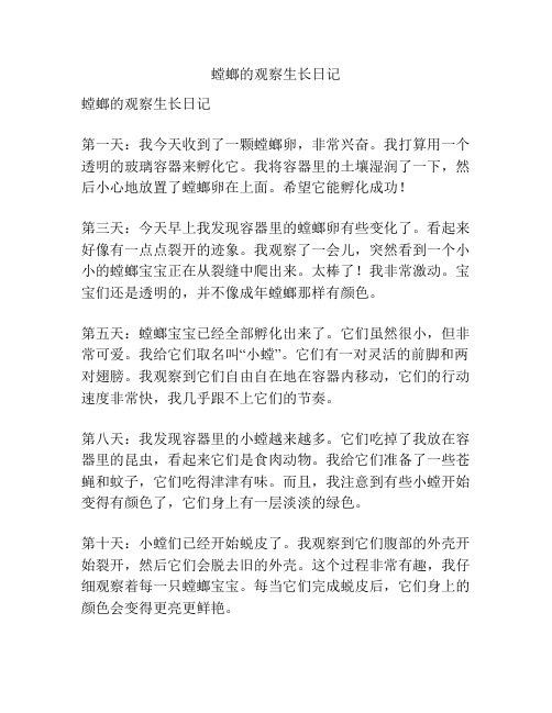 螳螂的观察生长日记