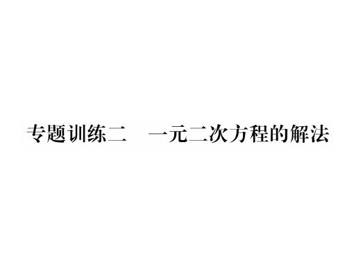 秋九年级数学上册课件(湘教版)：专题训练二 一元二次方程的解法(共20张PPT)