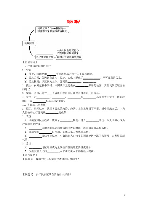 八年级历史下册 第11课 民族团结导学案 新人教版