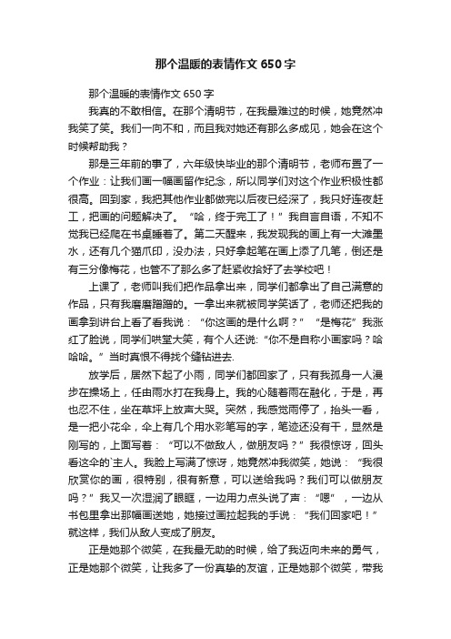 那个温暖的表情作文650字