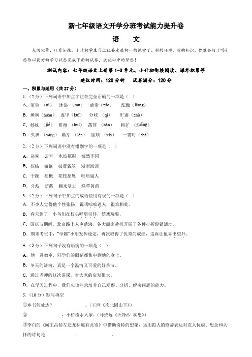 新七年级语文开学分班考试能力提升卷-2023年小初衔接语文(附解析)