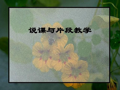 说课与片段教学的区别