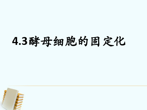 人教版高中生物选修一专题四课题3 酵母细胞的固定化 课件(共12张PPT)