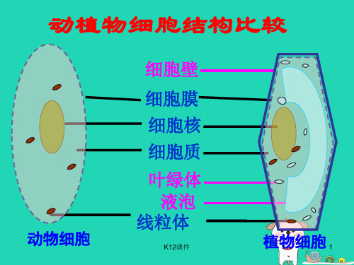 七年级生物上册 2.1.4《细胞的生活》课件2 (新版)新人教版