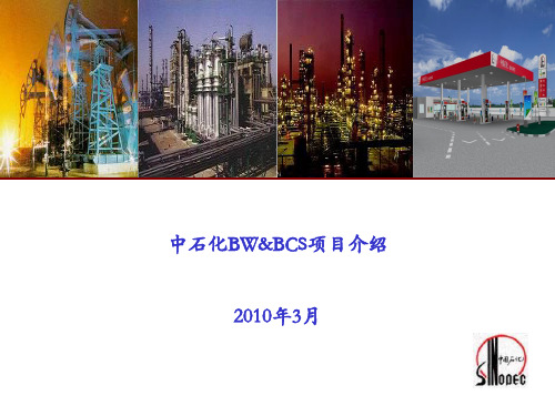 中石化BW&BCS项目介绍