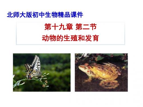 北师大版八年级生物上册课件 19.2 动物的生殖和发育