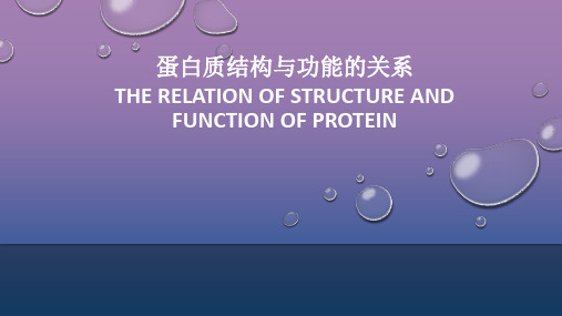 蛋白质结构与功能的关系