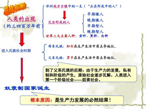 第2课 大河流域——人类文明的摇篮