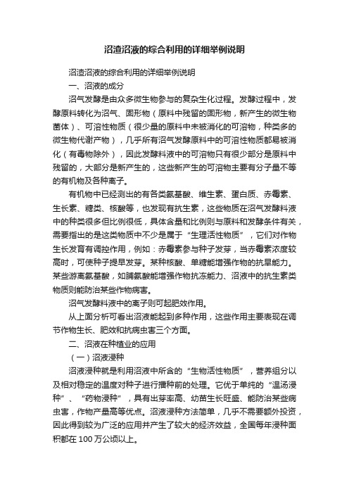 沼渣沼液的综合利用的详细举例说明