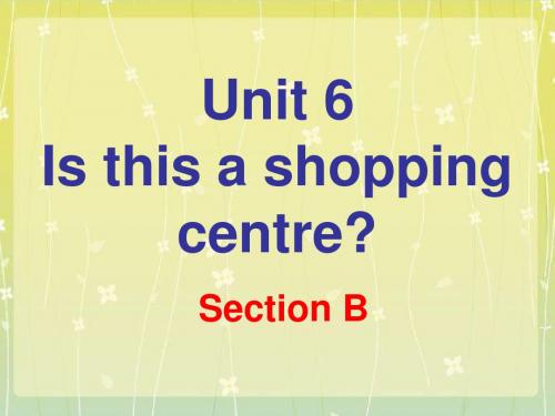 五年级下册英语课件-Unit 6 Is this a shopping centre Section B 2 _湘鲁版(共18张PPT)