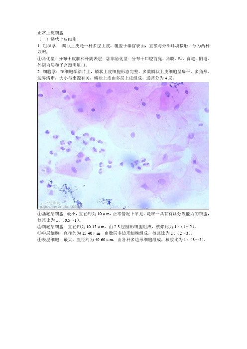 专业实验IV 脱落细胞学部分(有图)