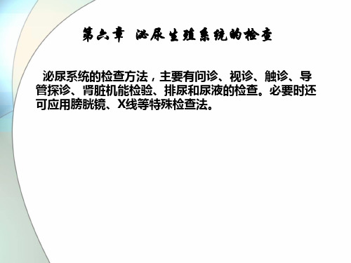 诊断学-第六章 泌尿生殖系统的检查