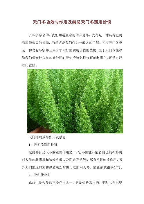 天门冬功效与作用及禁忌 天门冬药用价值