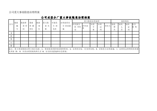 公司重大事故隐患治理档案