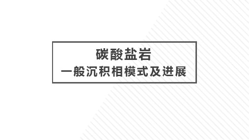 碳酸盐岩一般沉积相模式及进展