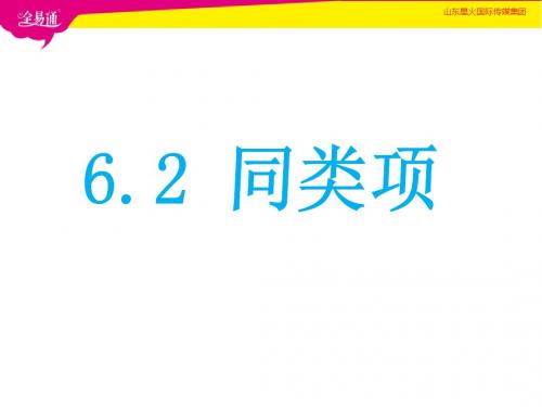 初中数学青岛版七年级上册高效课堂资料6.2同类项课件