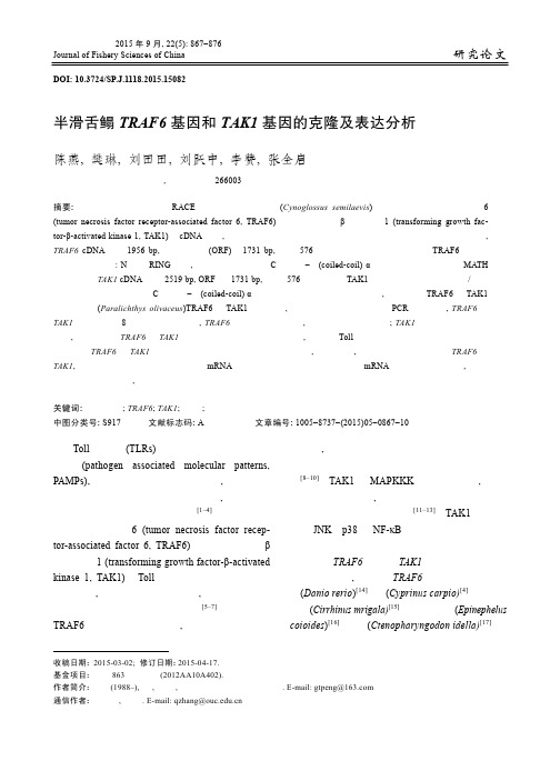 半滑舌鳎 TRAF6 基因和 TAK1 基因的克隆及表达分析