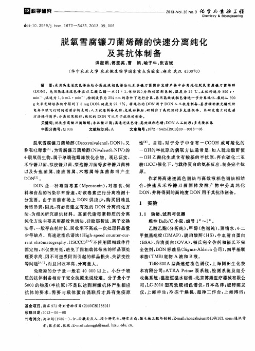 脱氧雪腐镰刀菌烯醇的快速分离纯化及其抗体制备