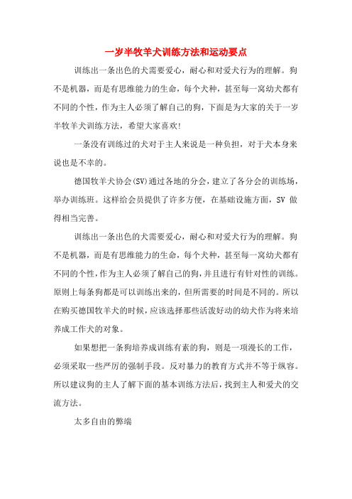 一岁半牧羊犬训练方法和运动要点