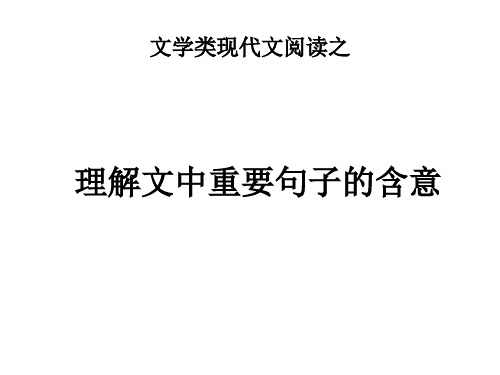 句子含义公开课