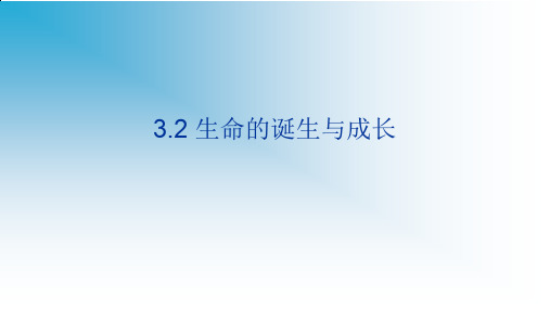 上海牛津版(五四学制)六年级科学上册：3.2 生命的诞生与成长  课件(共58张PPT)