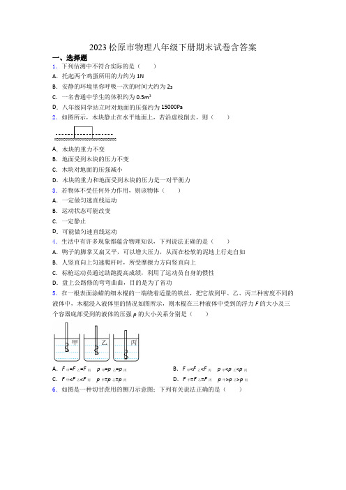 2023松原市物理八年级下册期末试卷含答案