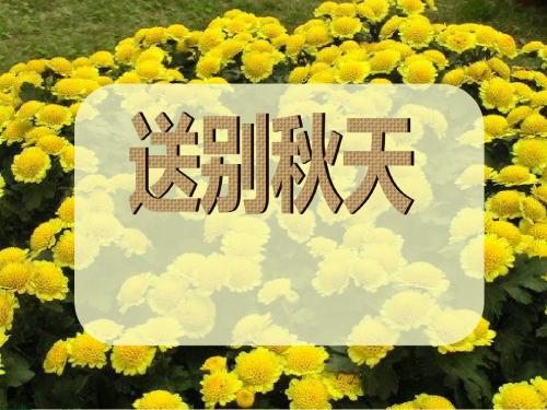 二年级上册道德与法治课件-3.4《送别秋天》｜浙教版 (共22张PPT)