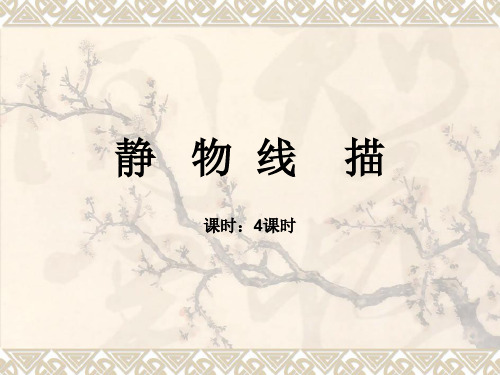 第3节 静物线描