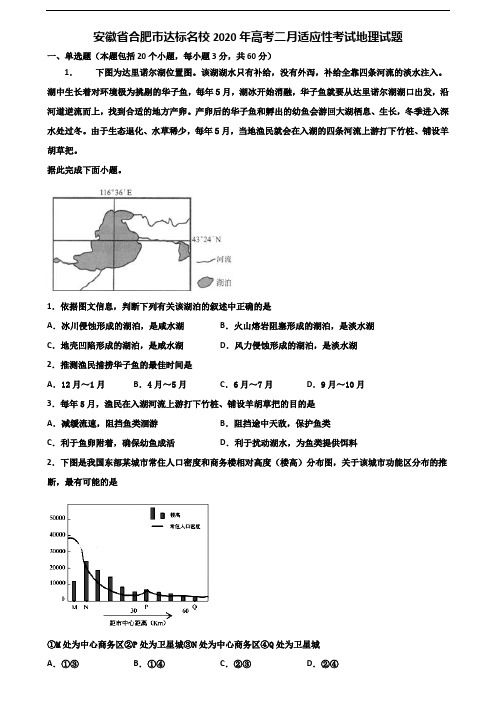 安徽省合肥市达标名校2020年高考二月适应性考试地理试题含解析