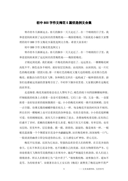 初中800字作文梅花5篇优选例文合集