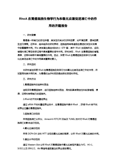 RhoA在胃癌细胞生物学行为和氧化应激促进凋亡中的作用的开题报告