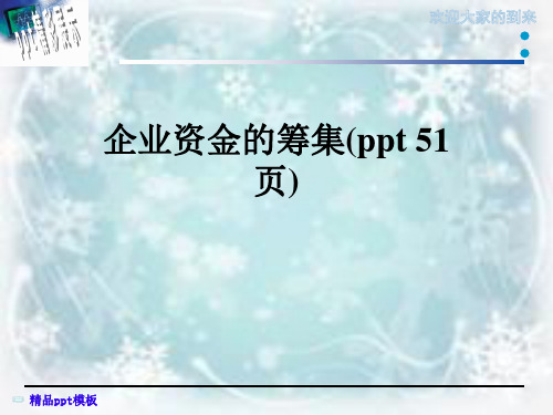 企业资金的筹集(ppt 51页)