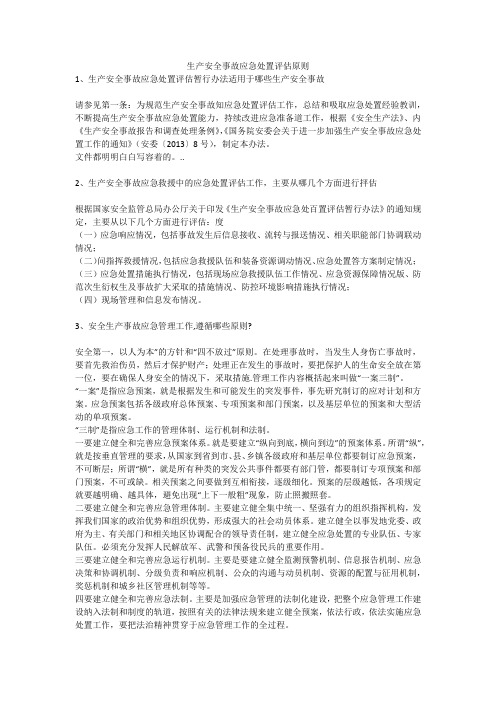 生产安全事故应急处置评估原则安全生产